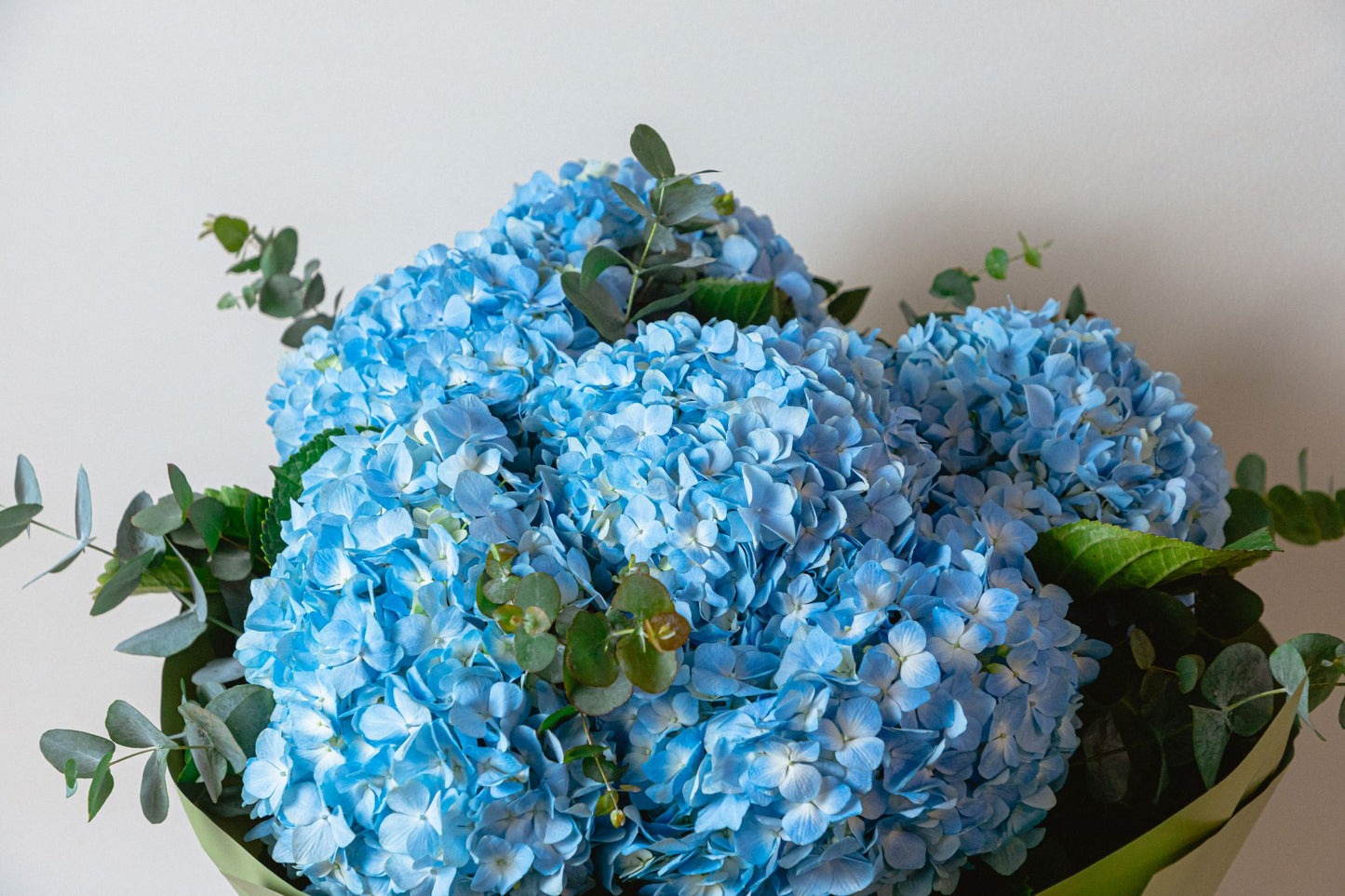 hydrangea bouquet singapore