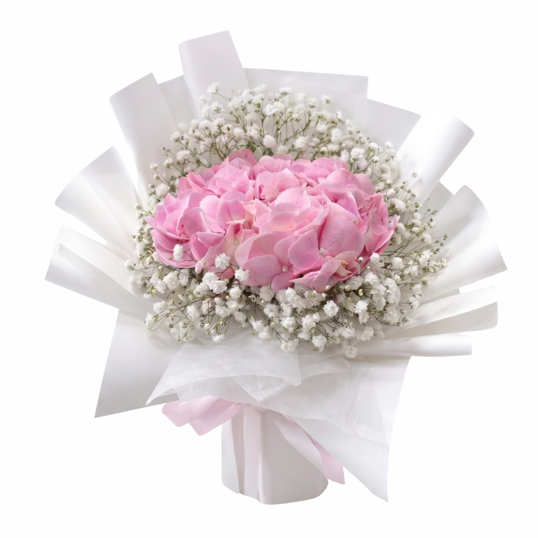 Angel's Breath - Blush Pink Hydrangea & Baby’s Breath Bouquet of Fresh Flowers